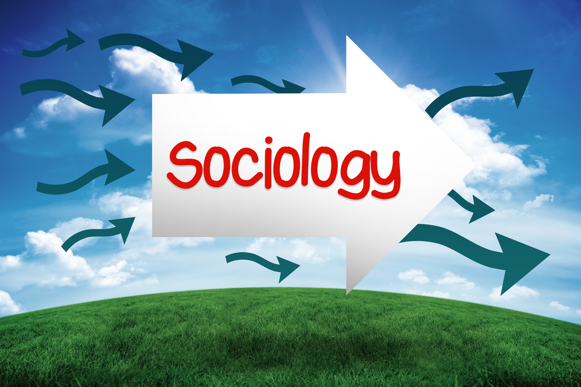 vale la pena studiare sociologia
